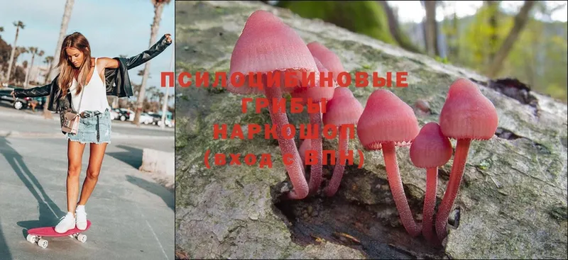 Галлюциногенные грибы Psilocybe  даркнет сайт  Лакинск 